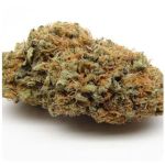 Шишки AK47 (Гидропоника, Бошка) VHQ в Когалыме Шишки AK47 (Гидропоника, Бошка) VHQ в Когалыме